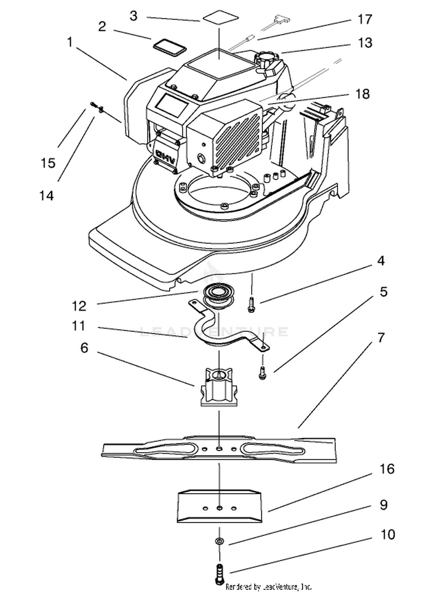 Engine Assembly