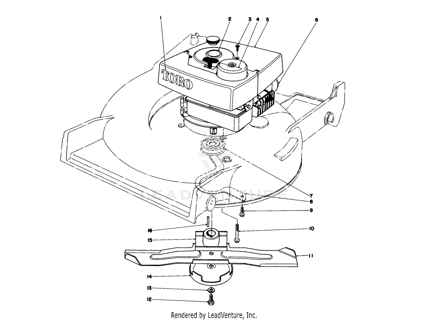 Engine Assembly
