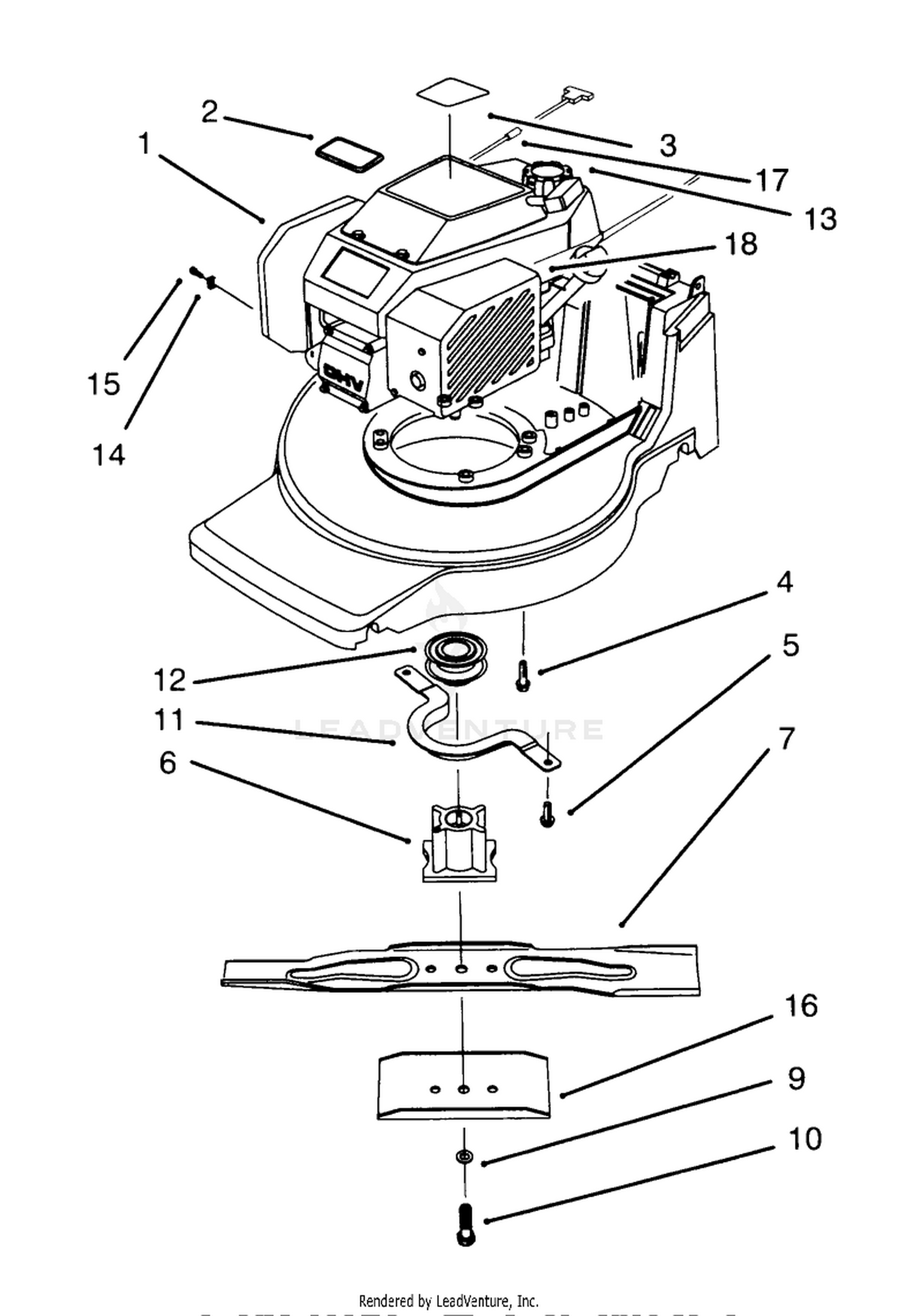 Engine Assembly