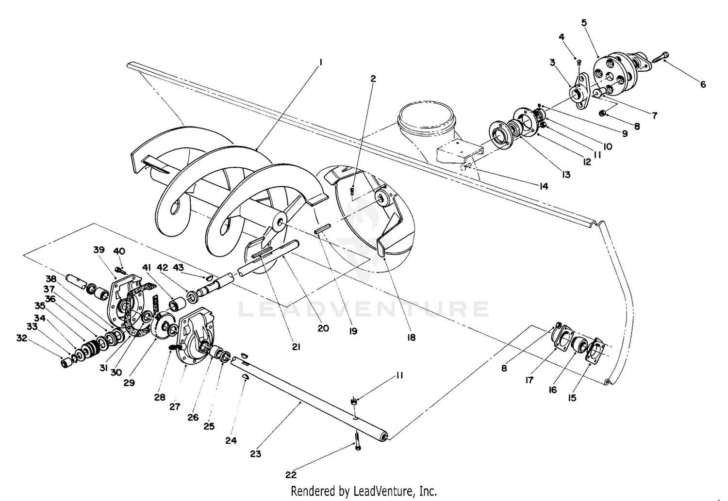 Auger Assembly