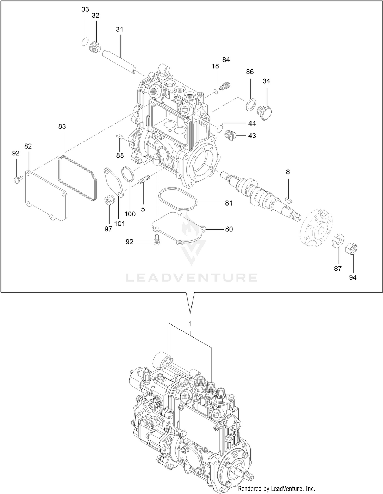 Fuel Injection Pump Assembly
