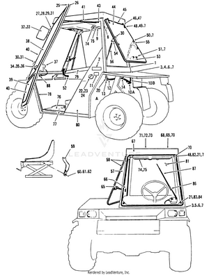 willinckii　no name willinckii no name Species Spotlight: Platycerium Willinckii : r