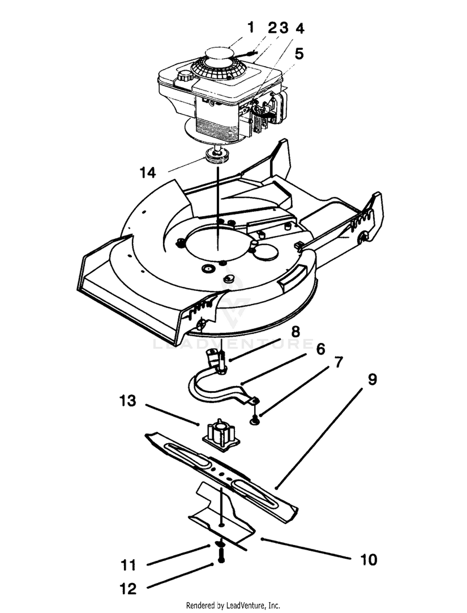 Engine Assembly