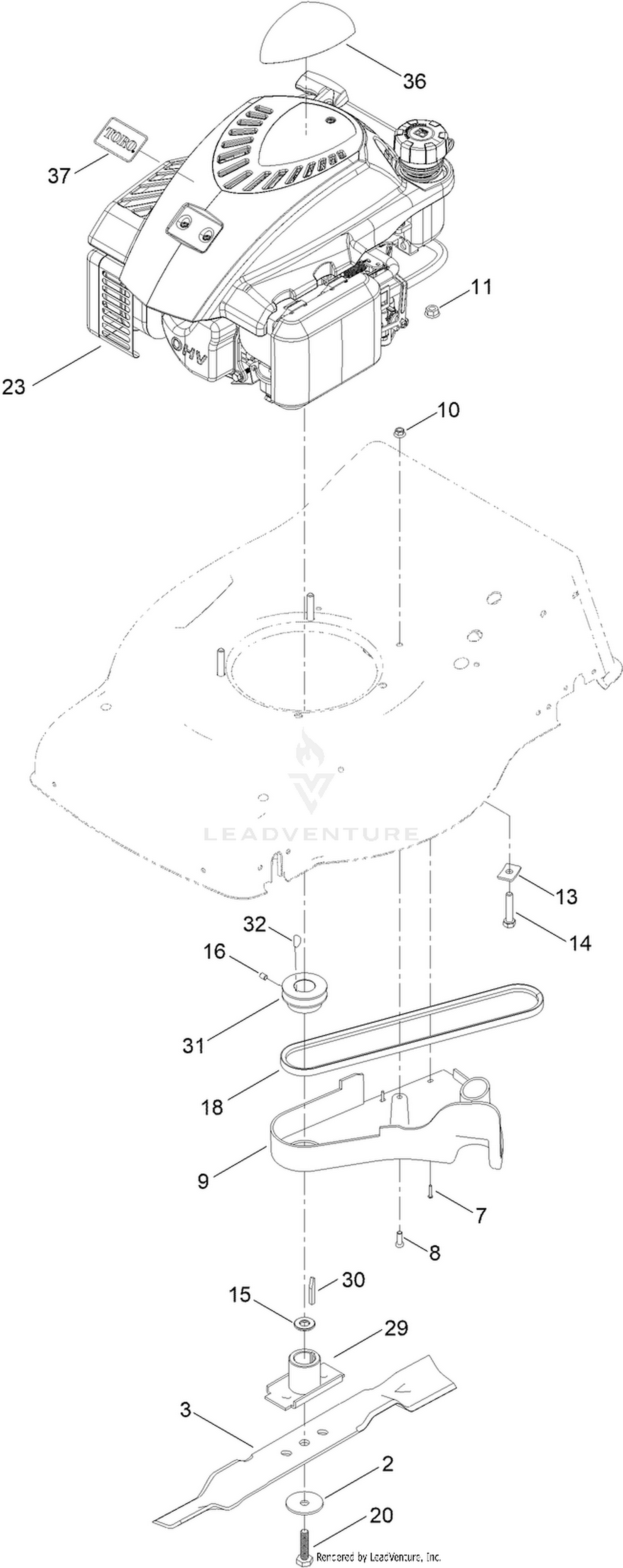 Engine and Blade Assembly