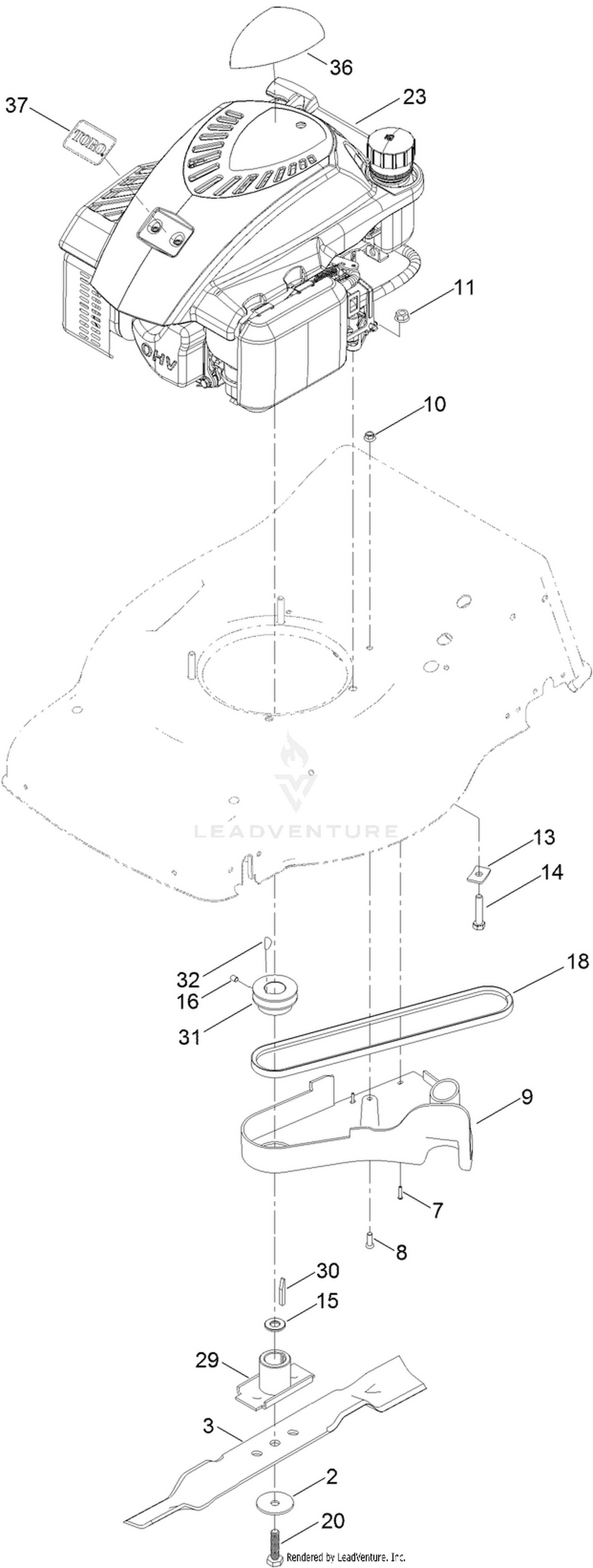Engine and Blade Assembly