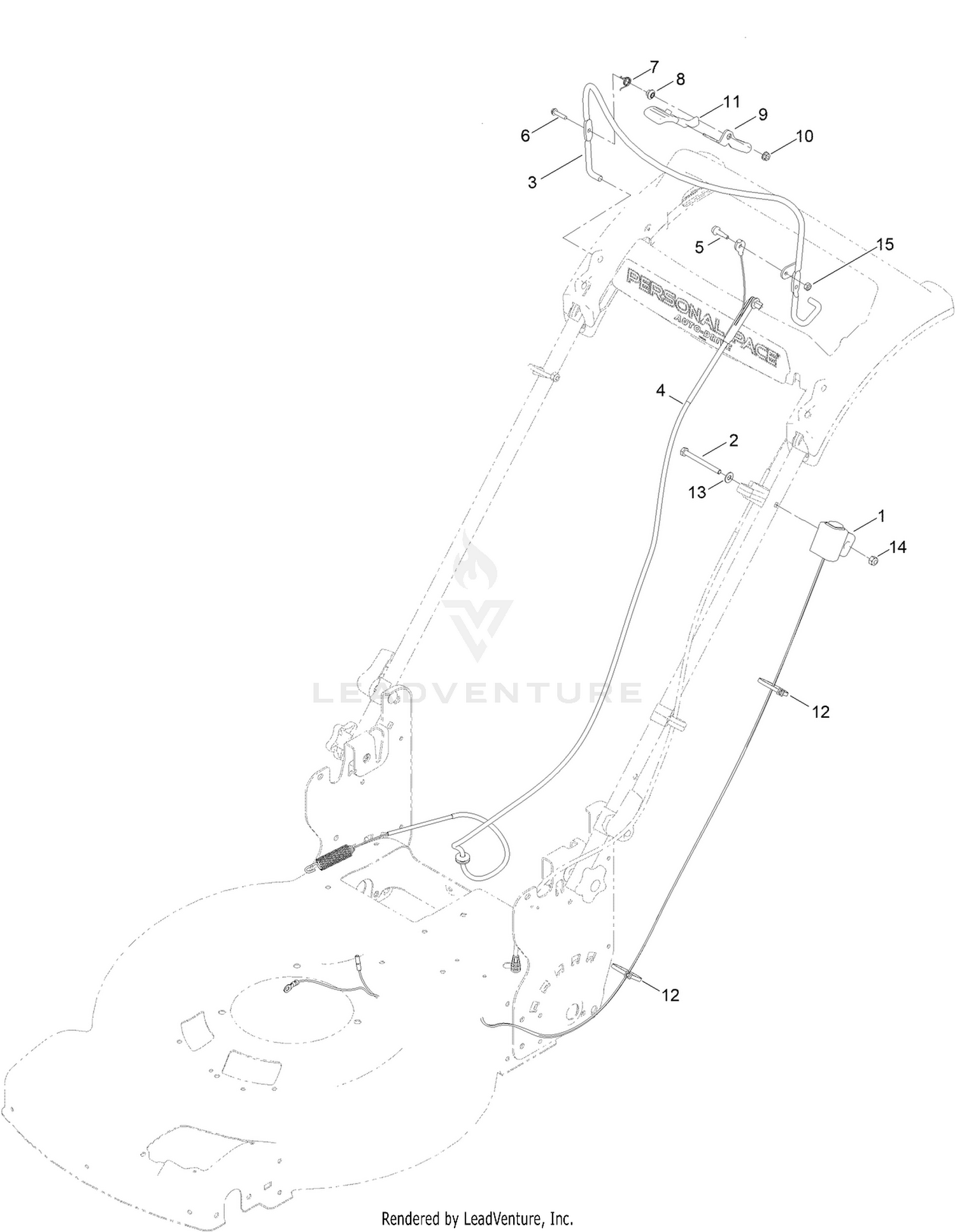 Starter Switch Assembly