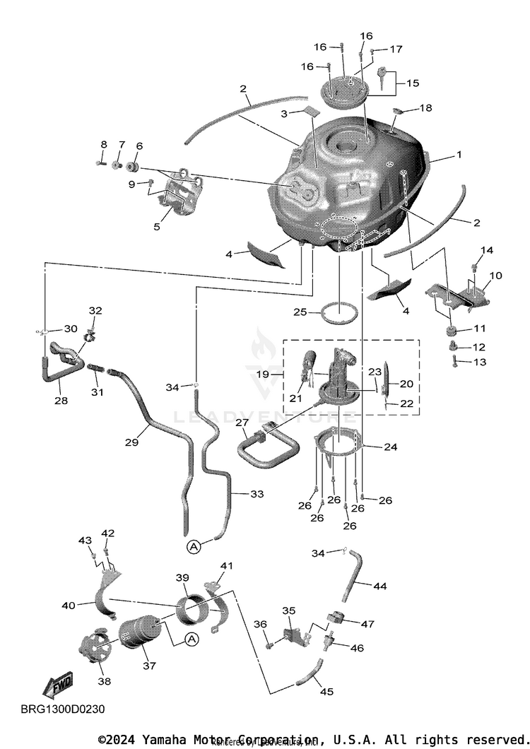 Fuel Tank MT03 - MT03SCB - 2025 Schematic