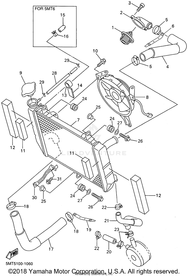 Radiator Hose Schematic