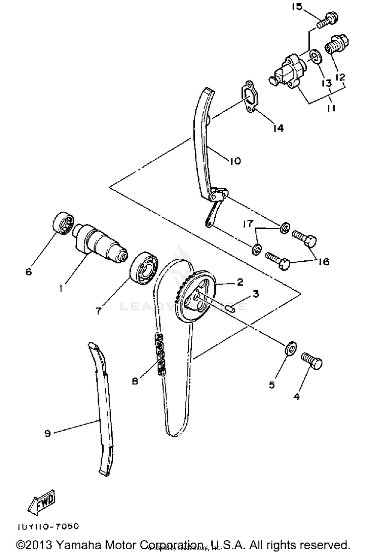 Camshaft-Chain Schematic