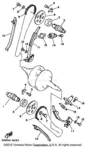 Camshaft Chain Schematic