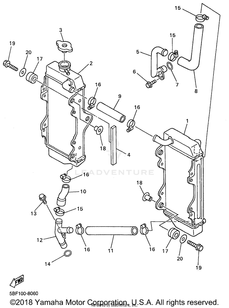 Radiator Hose Schematic