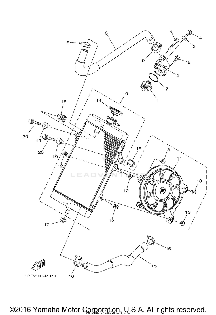 Radiator Hose Schematic