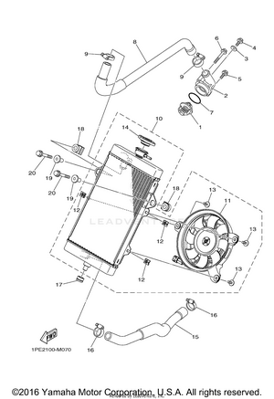 Radiator Hose Schematic