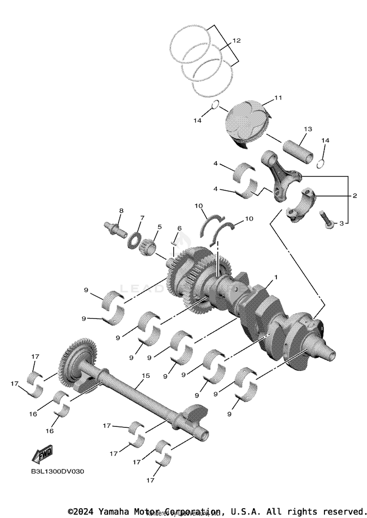 Crankshaft & Piston Schematic