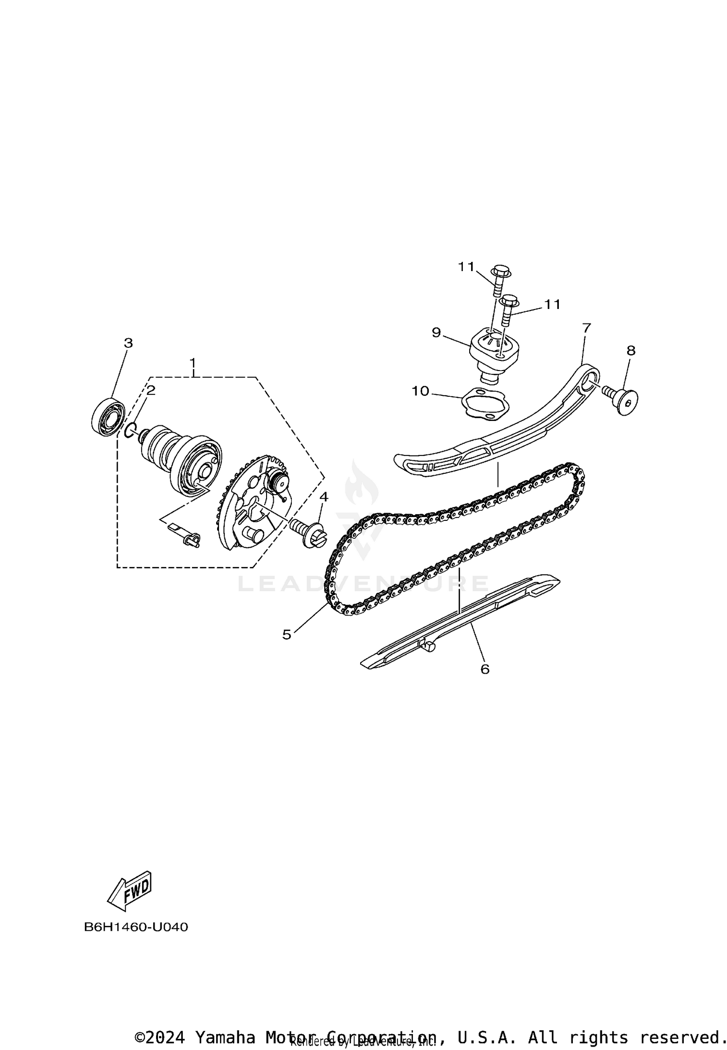 CAMSHAFT & CHAIN
