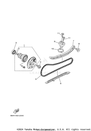 Camshaft & Chain Schematic