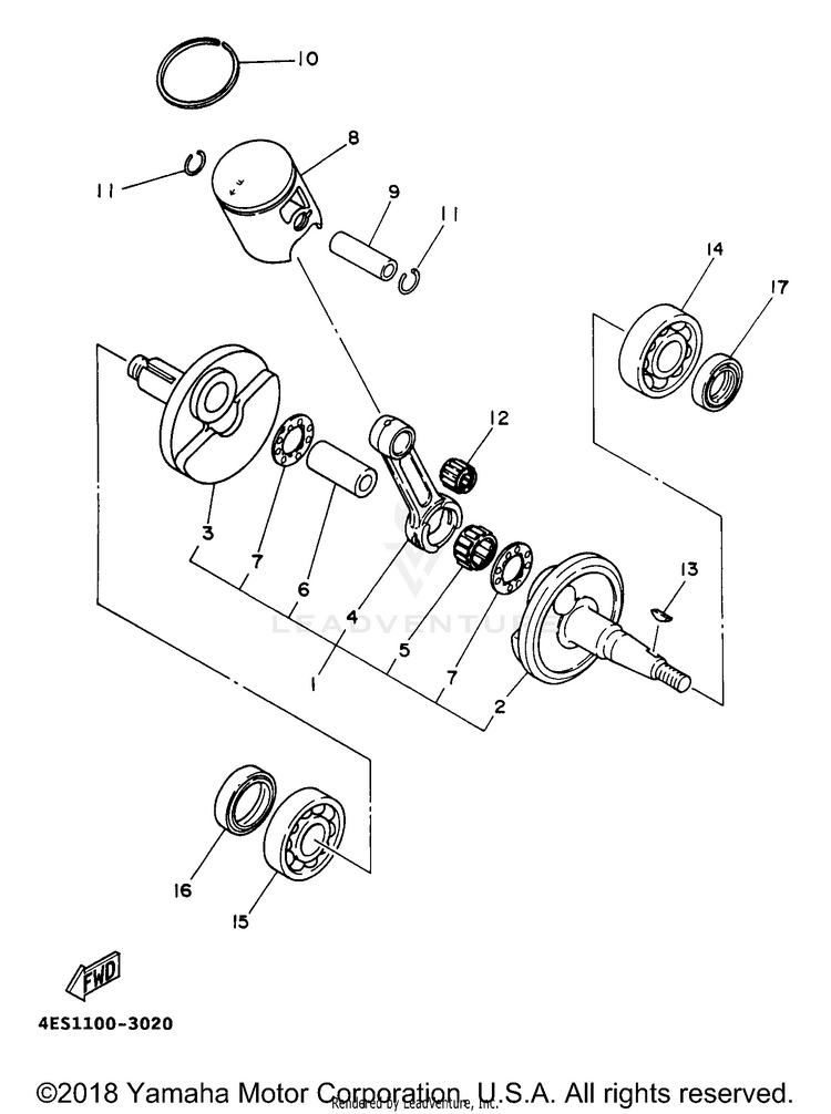 Crankshaft Piston Schematic