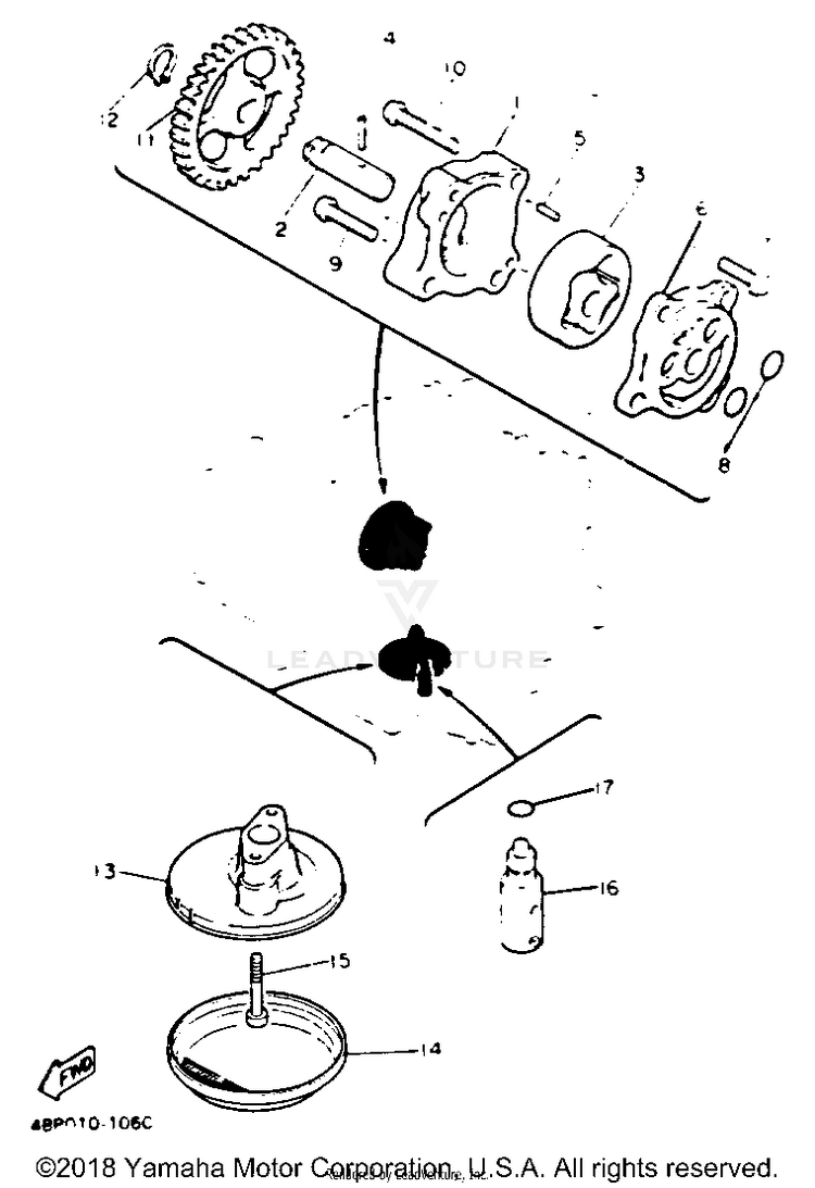Oil Pump Schematic