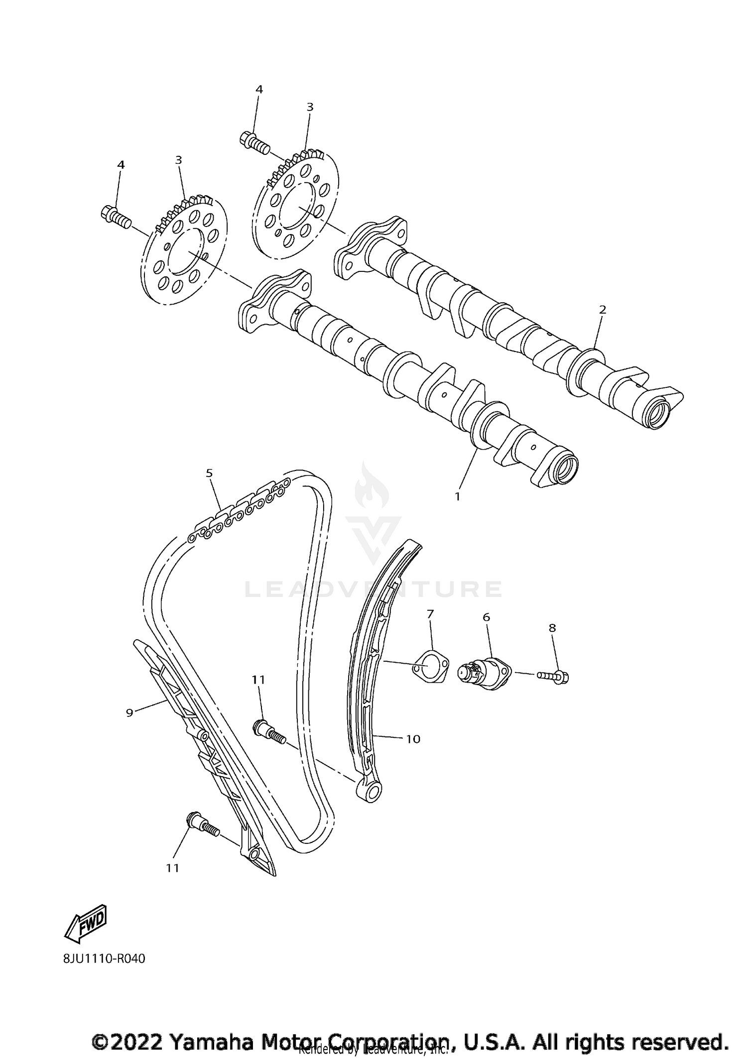 CAMSHAFT & CHAIN