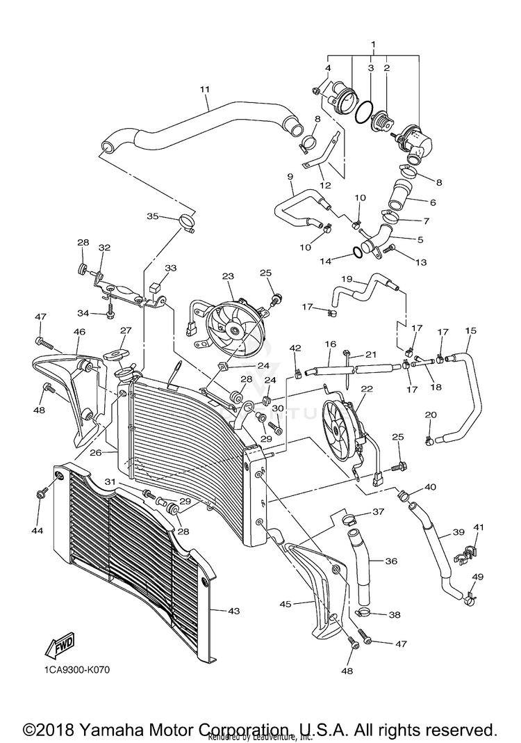 Radiator Hose Schematic