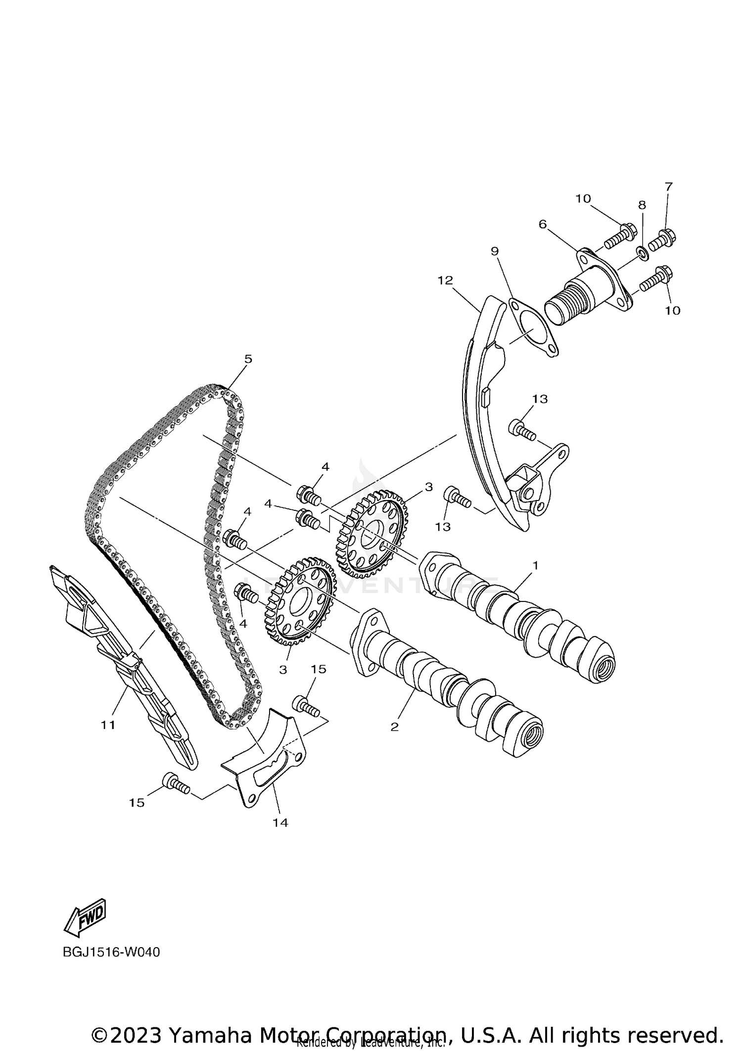 CAMSHAFT & CHAIN