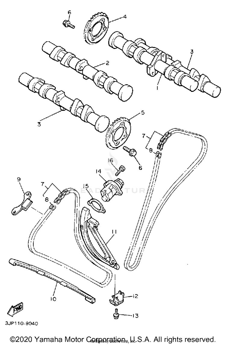 Camshaft Chain Non California Model Schematic