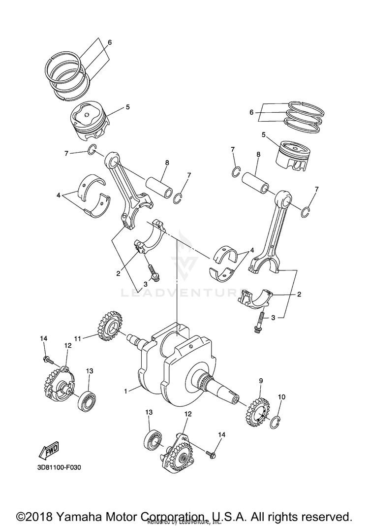 Crankshaft Piston Schematic