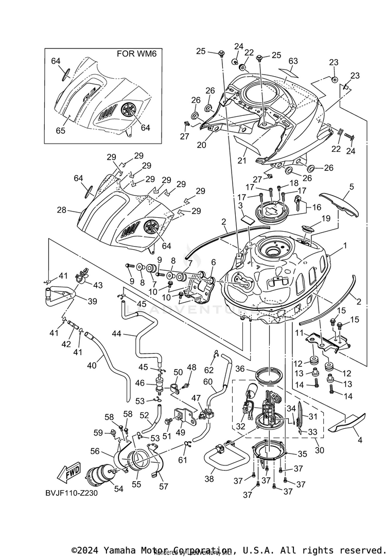 Fuel Tank YZFR3 ABS - YZFR3ARL - 2024 Schematic