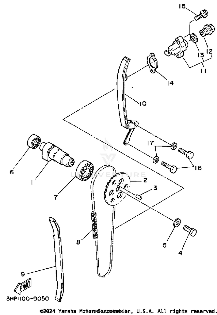Camshaft-Chain Schematic