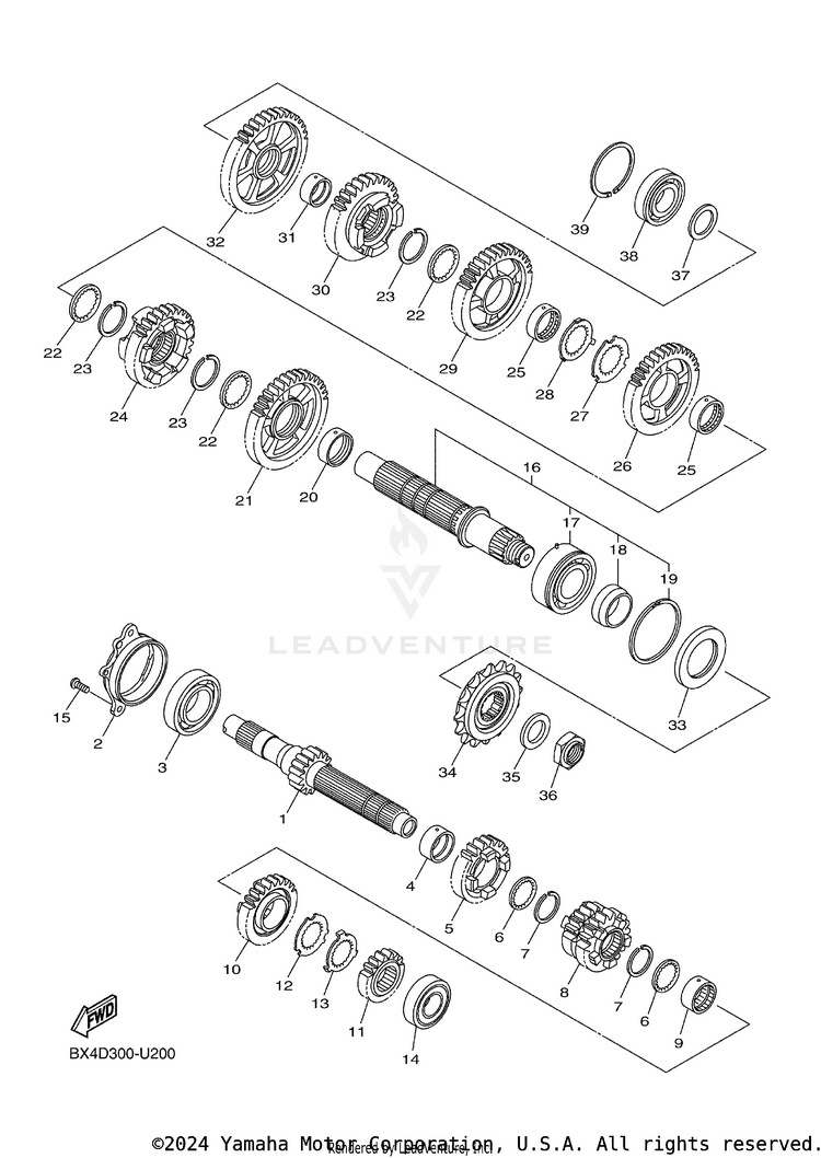 Transmission Schematic