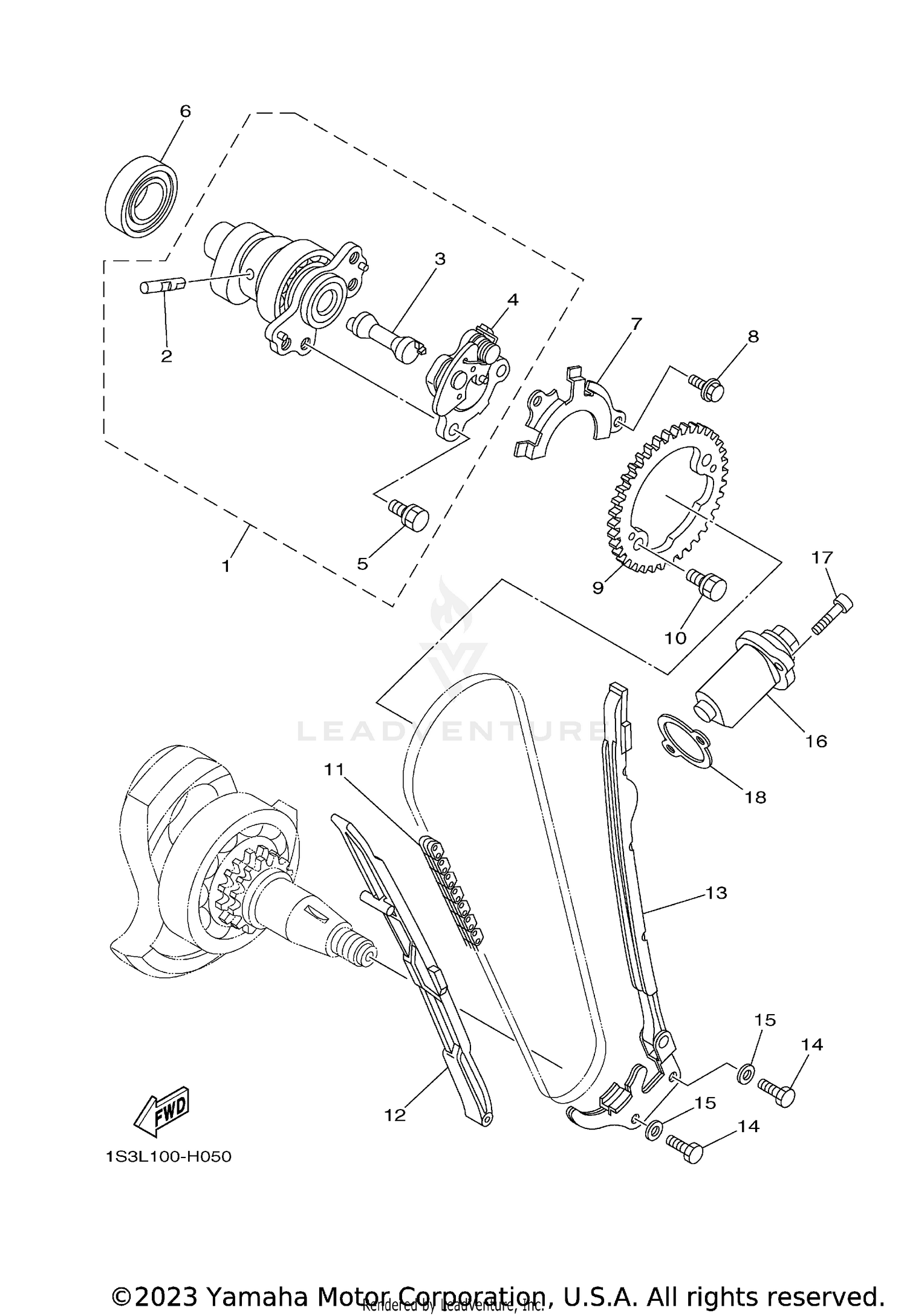 CAMSHAFT & CHAIN
