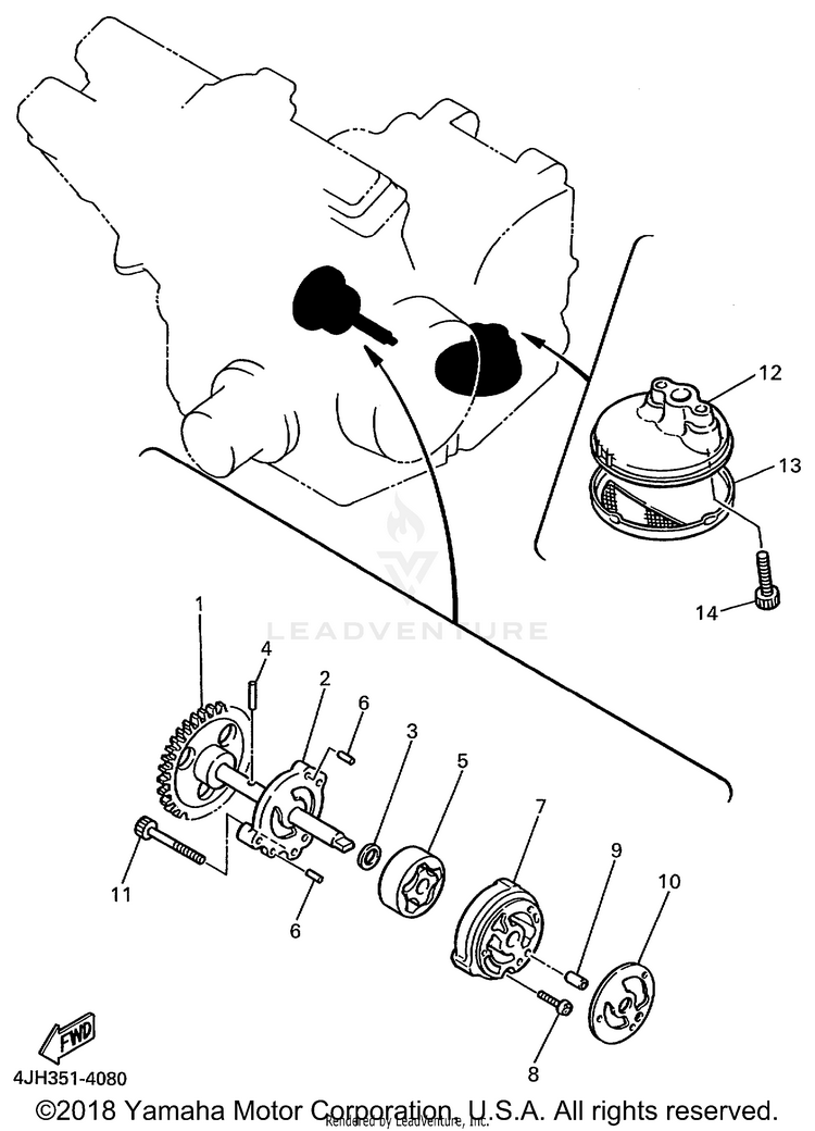Oil Pump Schematic