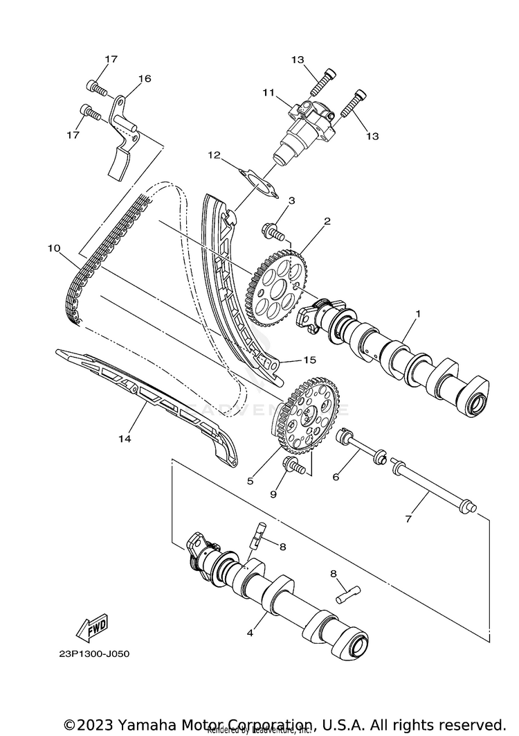 Camshaft Chain Schematic