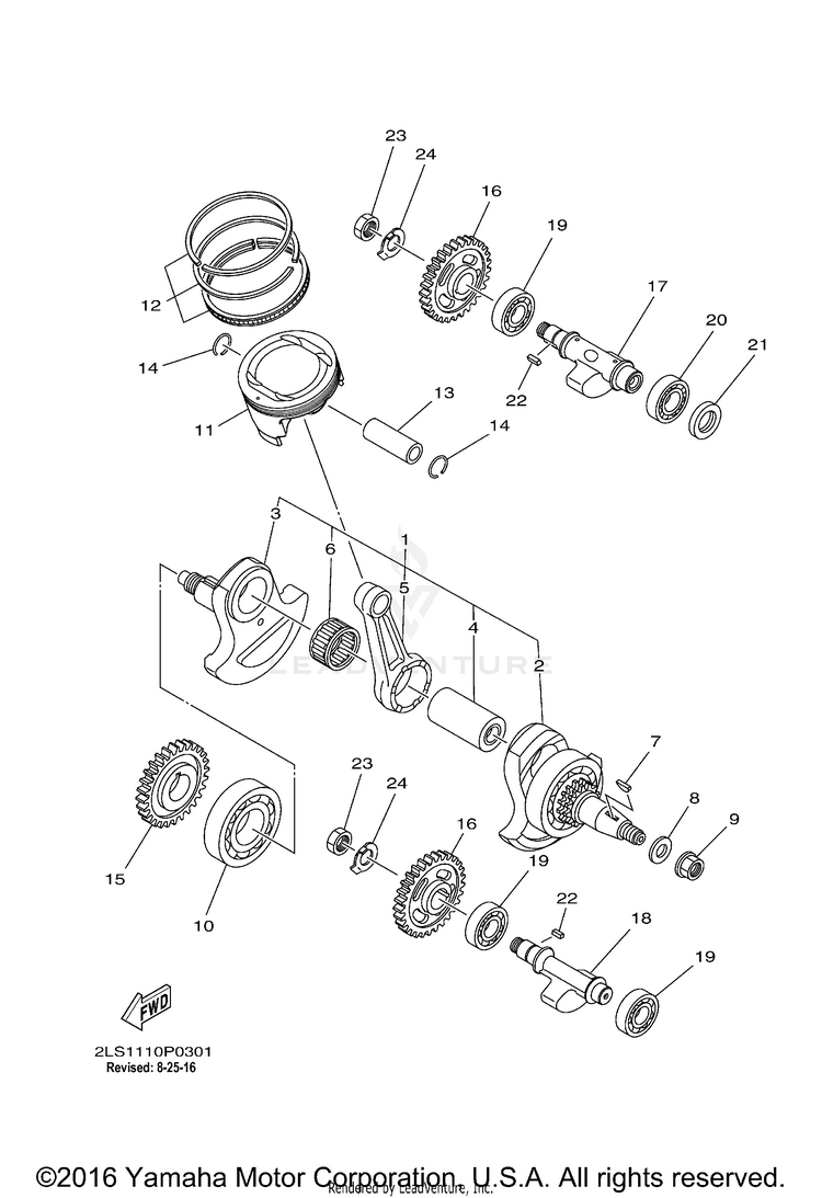 Crankshaft Piston Schematic