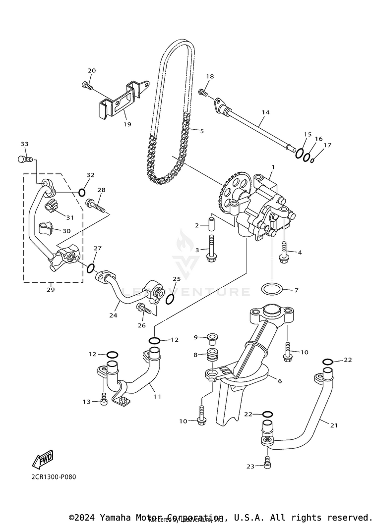 Oil Pump Schematic