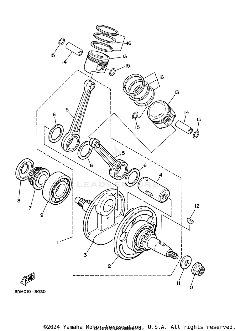 Crankshaft & Piston Schematic