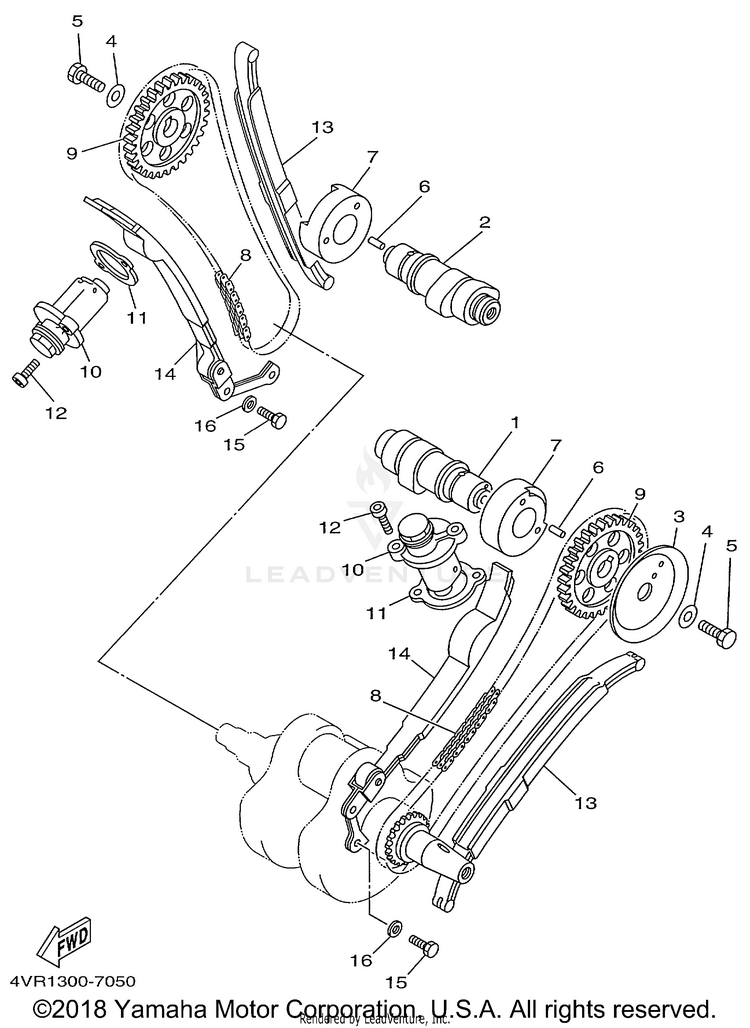 Camshaft Chain Schematic