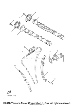 Camshaft Chain Schematic