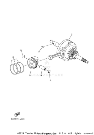 Crankshaft & Piston Schematic