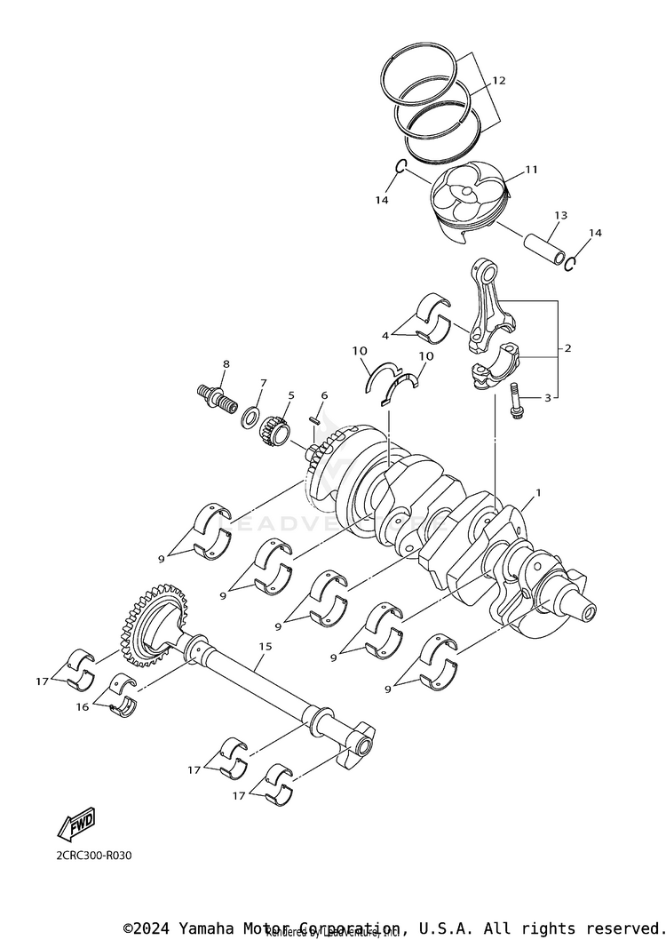 Crankshaft Piston Schematic