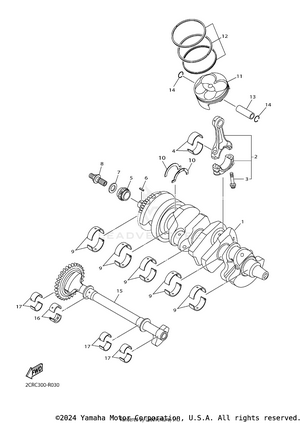 Crankshaft Piston Schematic
