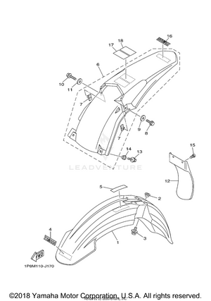 Fender Schematic