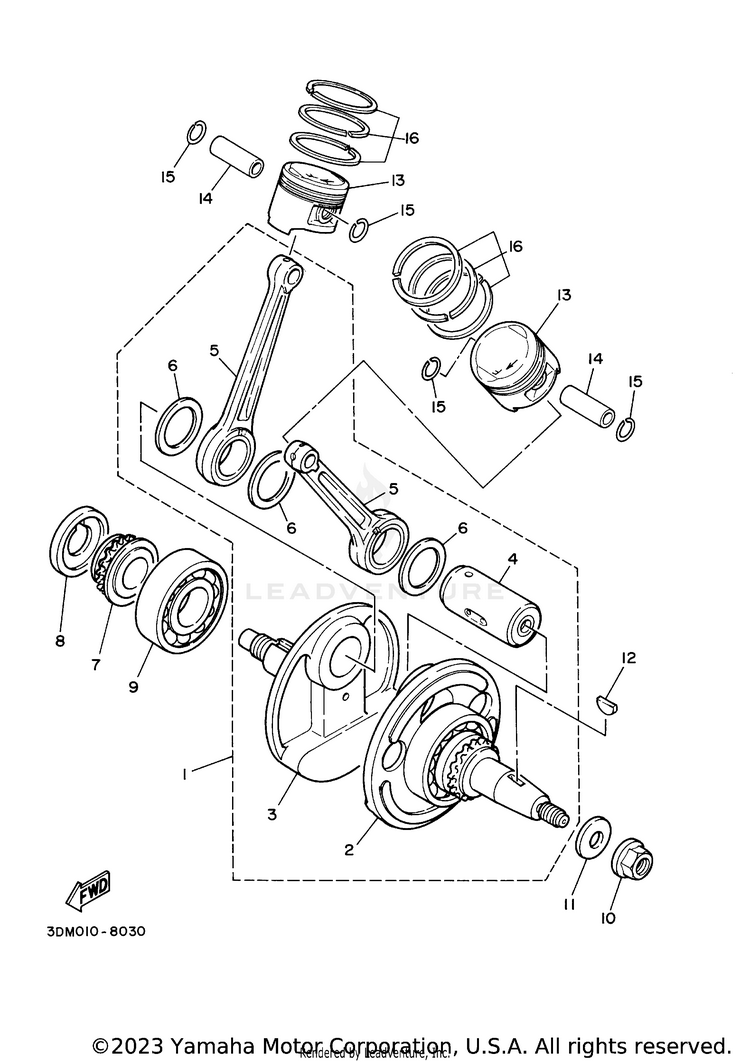 Crankshaft Piston Schematic