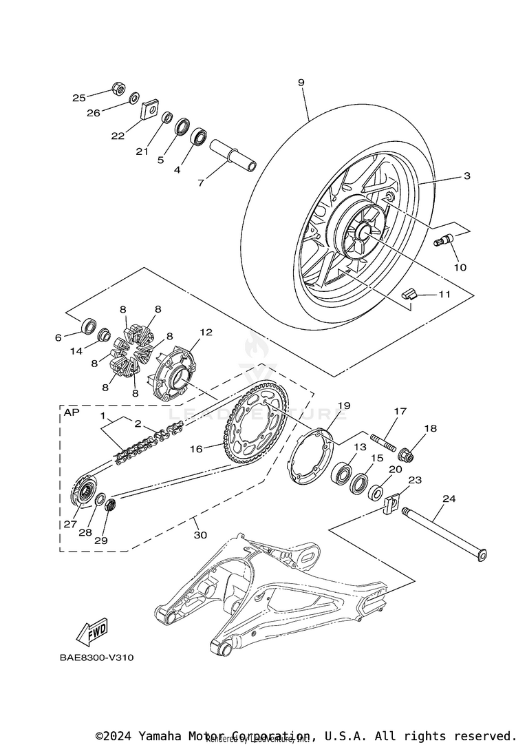 Rear Wheel Schematic