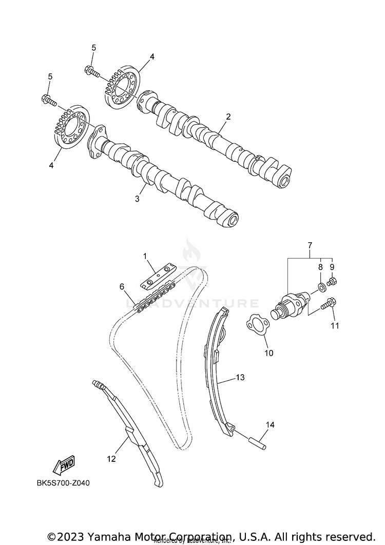 Camshaft & Chain Schematic