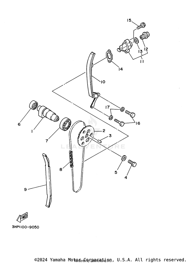 Camshaft. Chain Schematic