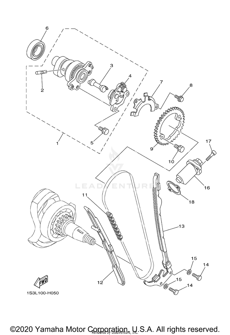 Camshaft Chain RAPTOR 700R - YFM70RSCLL - 2020 Schematic