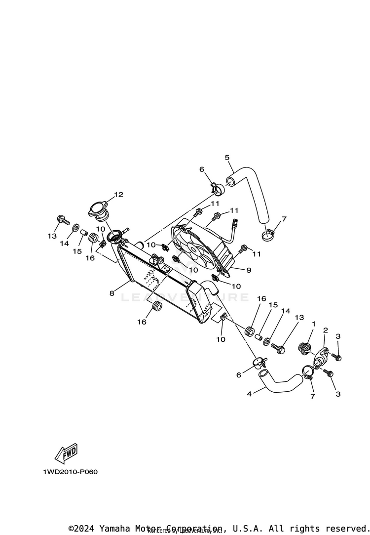 Radiator & Hose YZFR3 - YZFR3LL - 2020 Schematic