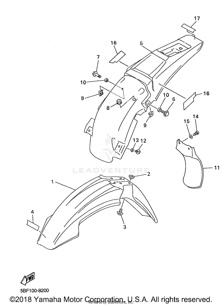 Fender Schematic