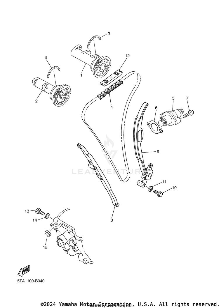 Camshaft & Chain Schematic